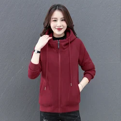 2023 neue Dame Lose Koreanische Reine Farbe Mit Kapuze Jacke Herbst Winter Warme Plüsch Verdickt Damen Top Kleidung