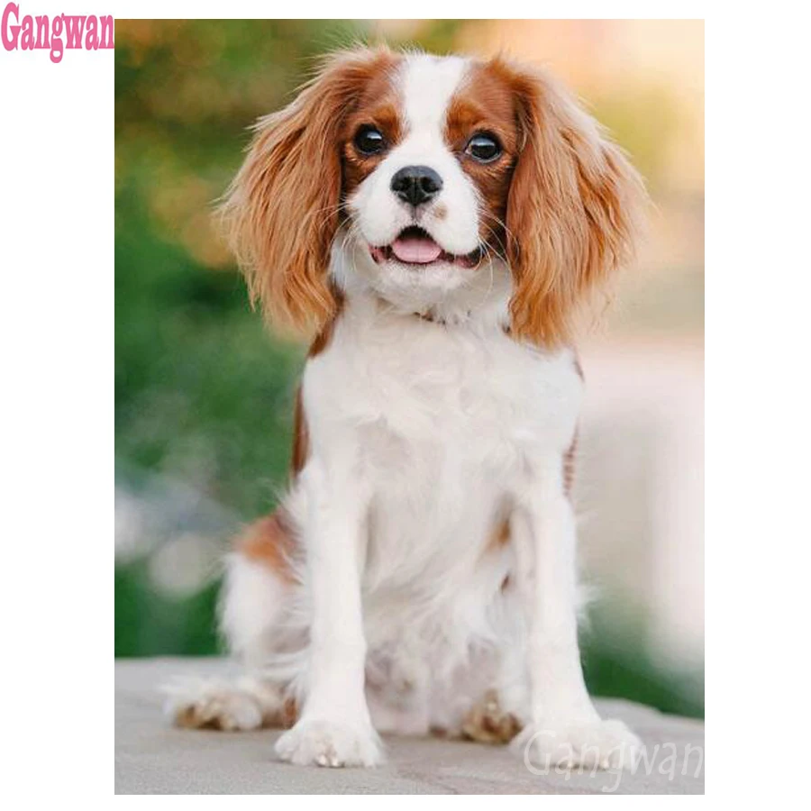 5D Rhinestone Diamo…