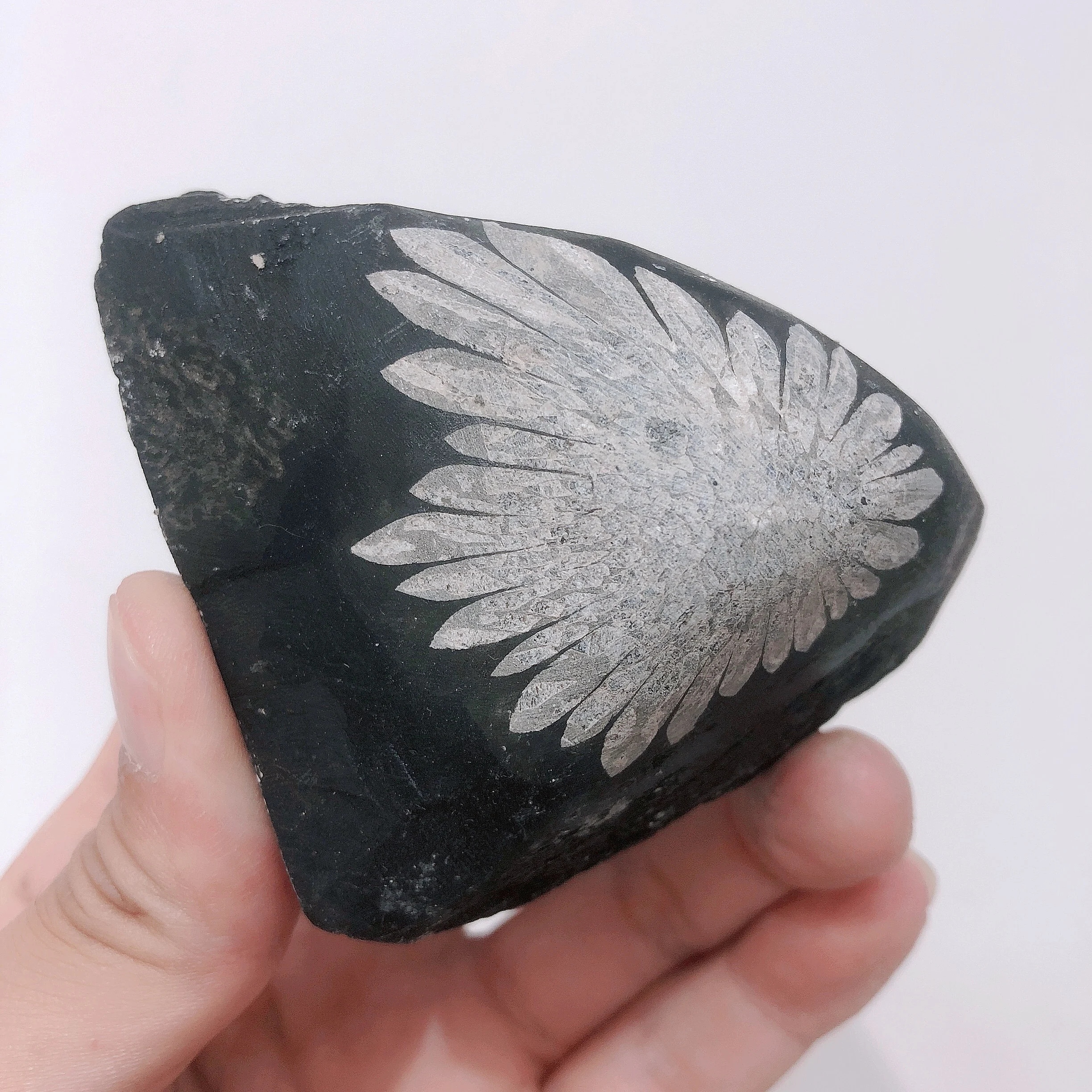 Natural Crystals Quartz Chrysanthemum Energy Reiki Stones Specimen Home Rome Office Aquarium Decoration Accessories Gemstone