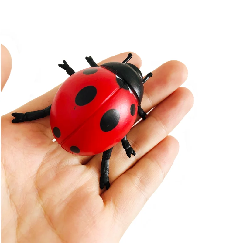 Montessori Ladybug Life Cycle Game Figures and Cards  Biology Language Learning Resources Early Childhood Educational Materials