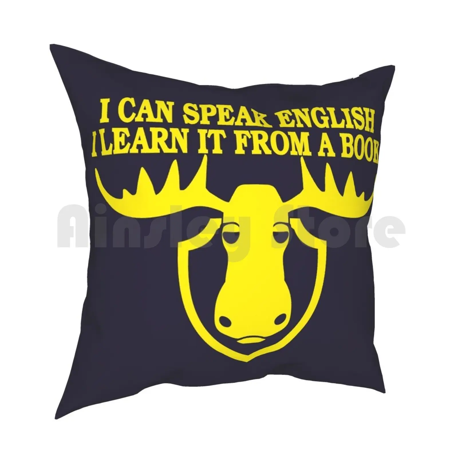 I Can Speak English , I Learn It From A Book Pillow Case Printed Home Soft DIY Pillow cover Can Speak English Learn It Book