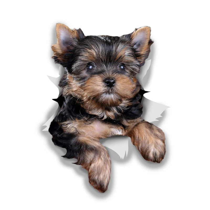 

Removable Decal CUTE YORKSHIRE TERRIER Car Sticker Waterproof Accessories on Bumper Rear Window Laptop