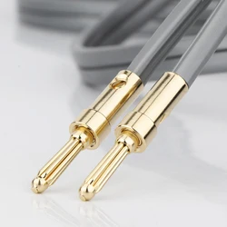 Hifi Audio Gold Pated Banana Connectors Plug Speaker Cable Connector Adapter Hifi Signal Wire Jack Banana Terminal