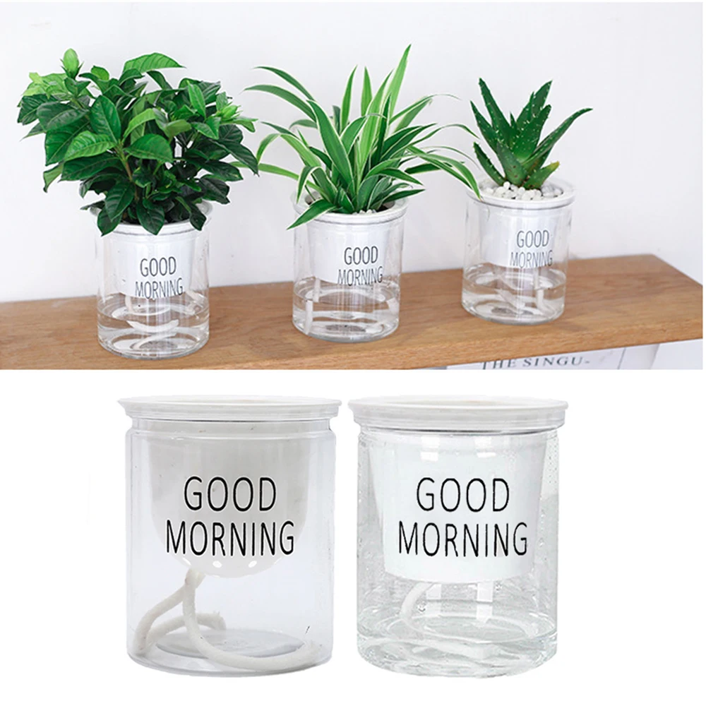 

New Creative Transparent Round Plastic Self-watering Flowerpot Hydroponic Flower Pot Succulent Plants Office Home Decor Supplies