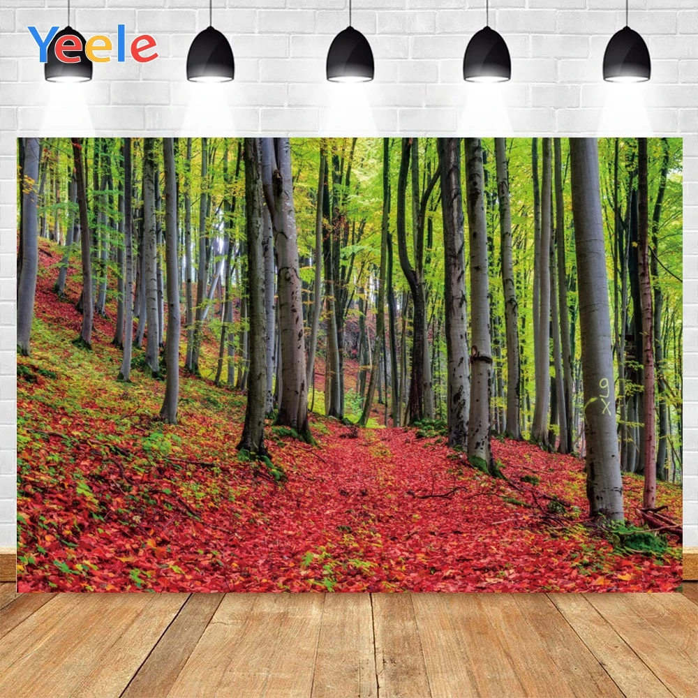 Yeele-خلفيات مشهد الخريف للتصوير الفوتوغرافي ، أوراق الغابات ، استوديو الصور Hotographic ، خلفية الصورة ، ديكورات أعياد الميلاد ، الدعامة