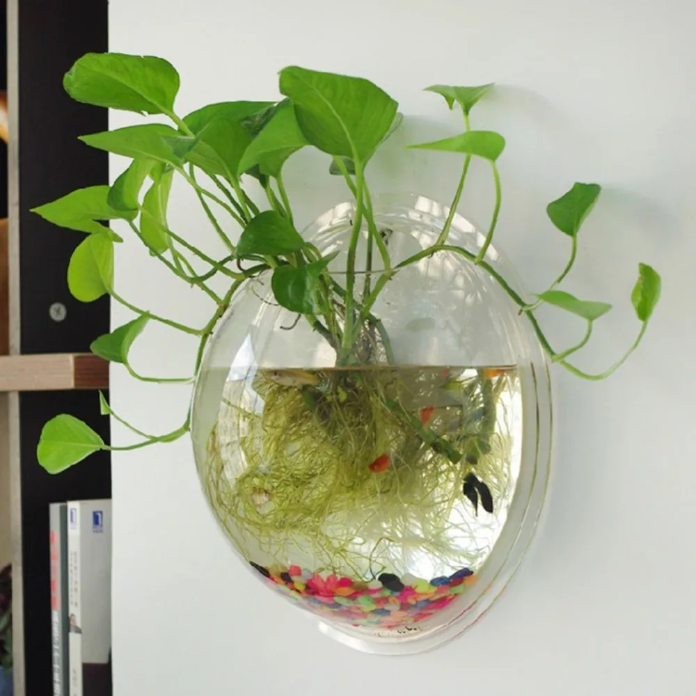 Wall-mounted Acrylic Fish Tank Home Accessories Living Room Wall Decoration  Fish Tank Creative Wall Hydroponic Transparent Vase - AliExpress 15