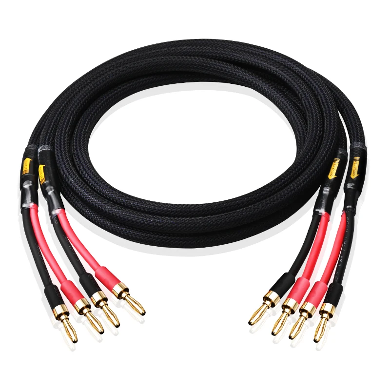 A pair HIFI speaker cable pure copper with silver-plated nerve cable main speaker surround sound connection dedicated cable