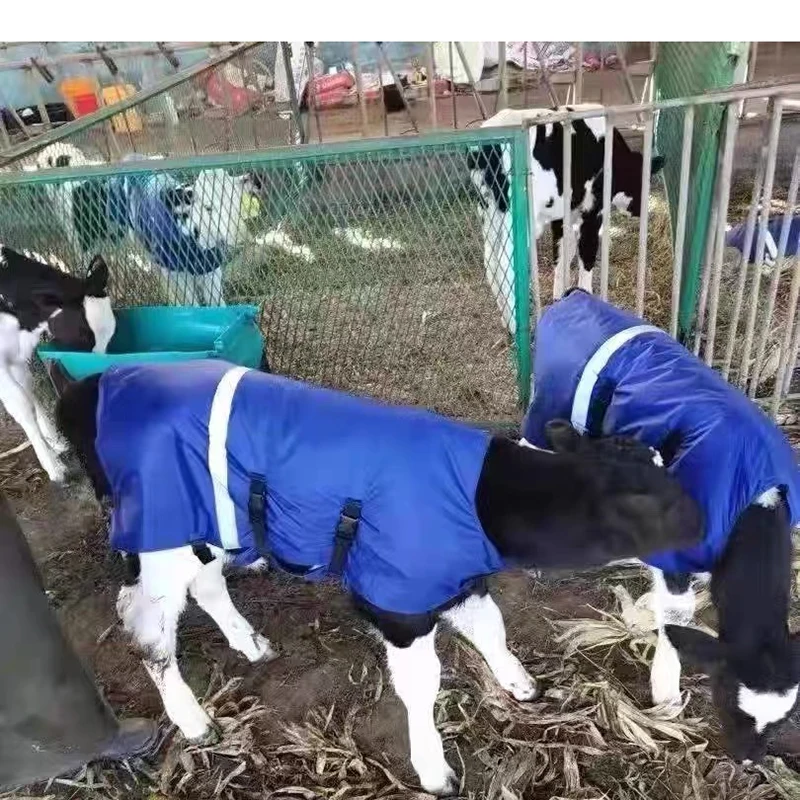 암소 종아리 조끼 방한 코트 열 슈트 가축 옥스포드 패브릭 코트, 방풍 및 방수, 따뜻한 송아지 의류