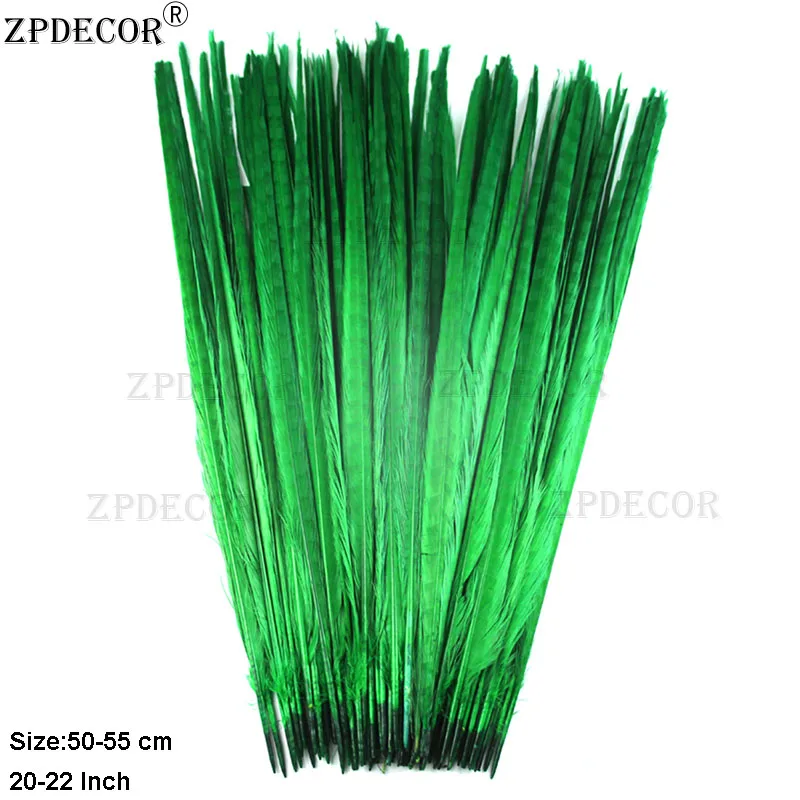 ZPDECOR 50-55cm 20-22 Inch Ringneck Pheasant Feathers Natural Pluma