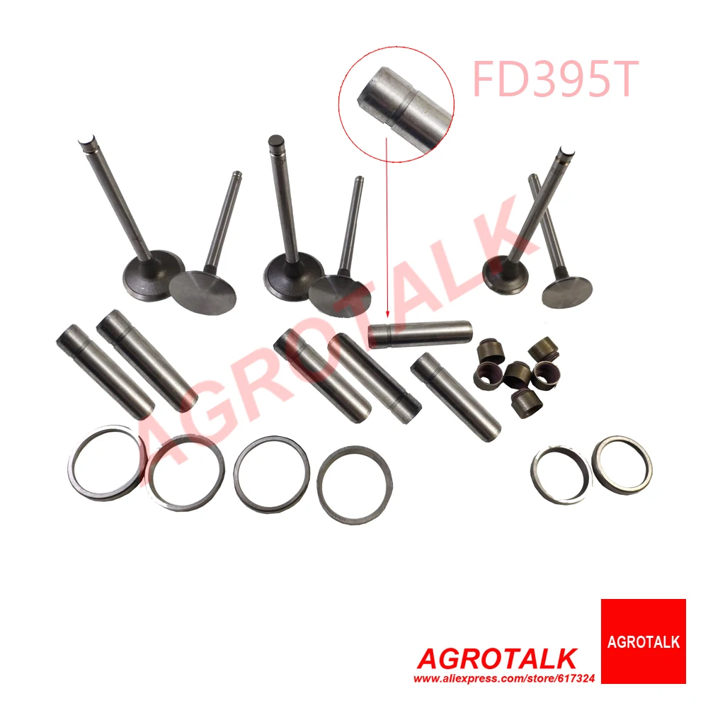 Set of intake and exhaust valve kit for Feidong FD495T for Shandong Taishan series tractor