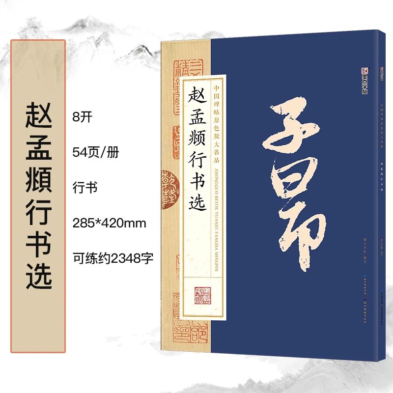 

Chinese Brush Calligraphy Writing Book Stone Inscription Original Color Enlarged Zhao Mengfu Running Script Practice Copy 2024