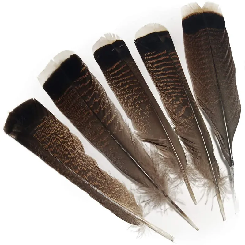 10pcs/lot Natural Eagle Bird Pheasant Feathers for Crafts Diy Dream Catcher Jewelry Making Decoration Accessories Plumes 25-30cm