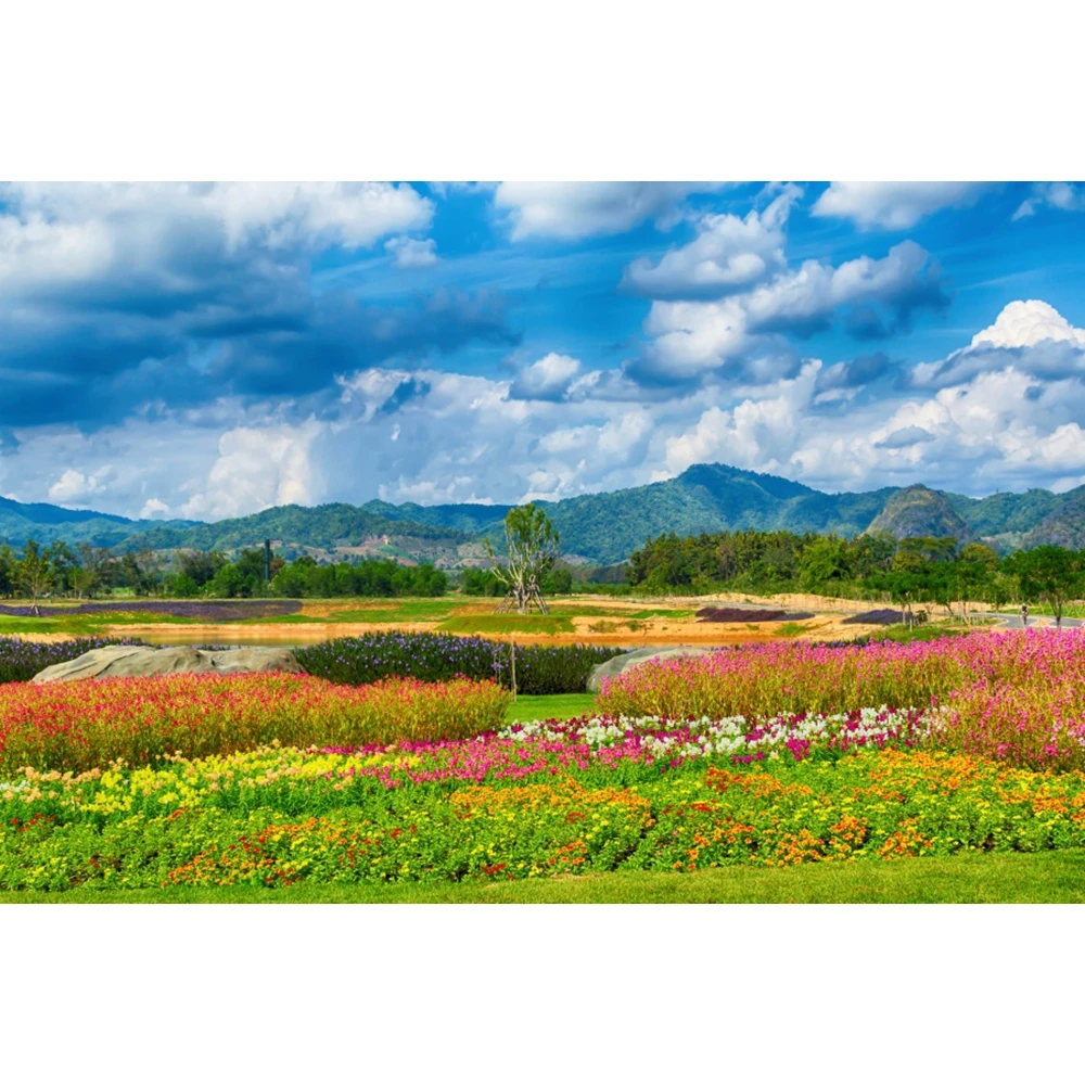 

Spring Mountain Grassland Flower Sky Cloud Nature Scenery Photography Backdrop Vinyl Photographic Background For Photo Studio