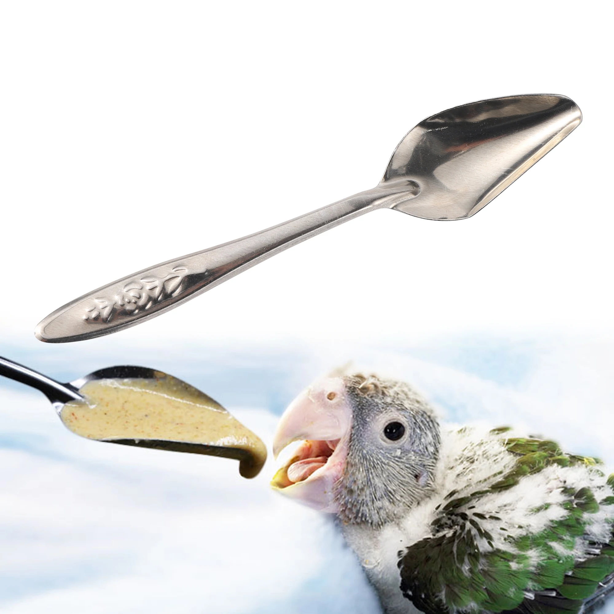 Cuillère d'alimentation portable en acier inoxydable pour oiseaux, mangeoire à eau pour perroquet, lait en poudre, nourriture pour oiseaux, bébé, 5 pièces