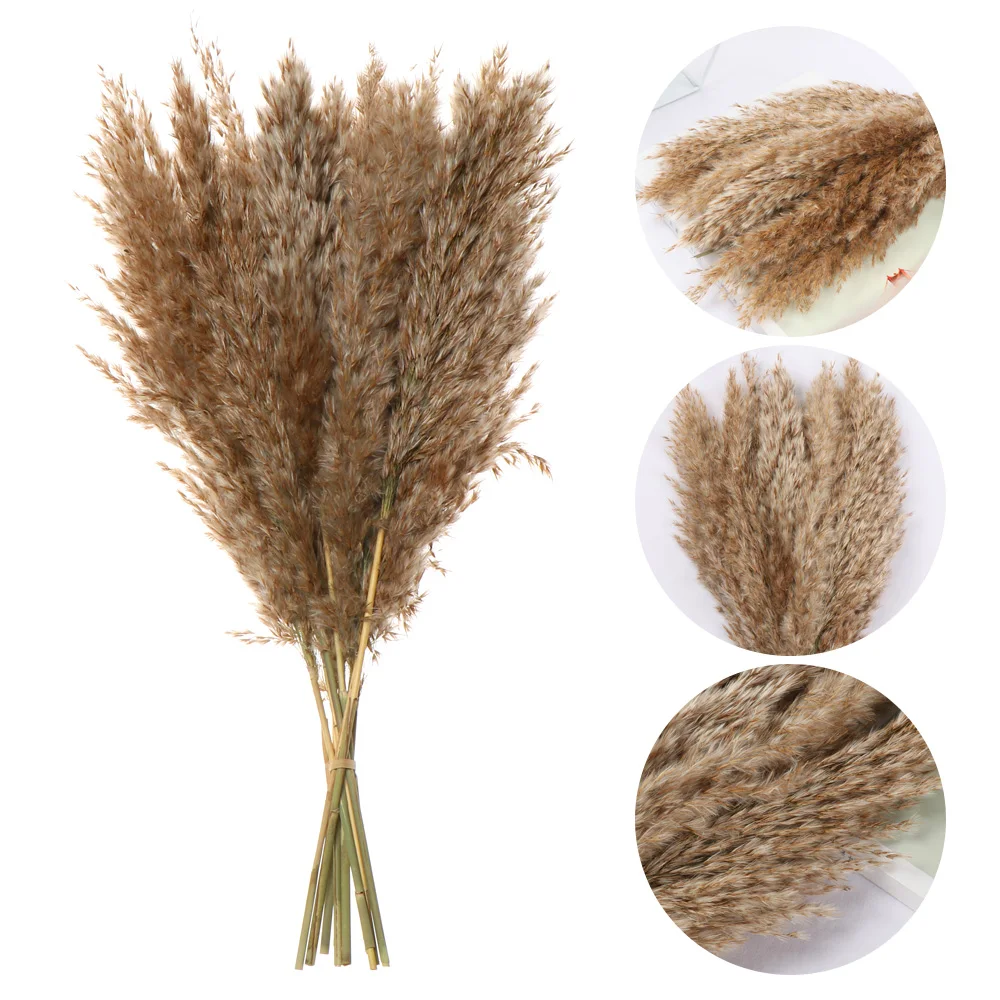 10x Small Natural Dried Pampas Grass Reed Flower Bunch Wedding Bouquet Decors Hot