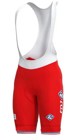 GROUPAMA FDJ Team 3 Colors Men's ONLY Cycling Bicycle Clothing Bib Shorts With 20D Gel Pad Ropa Ciclismo