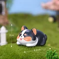 Black Corgi