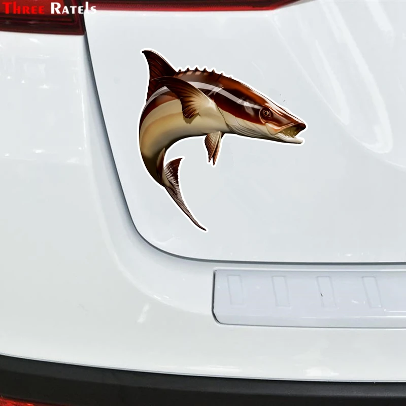 Three Ratels FTC-916 Cobia Fish Fishing Car Stickers Auto Decals 3d Styling Motorcycle Decal Accessories