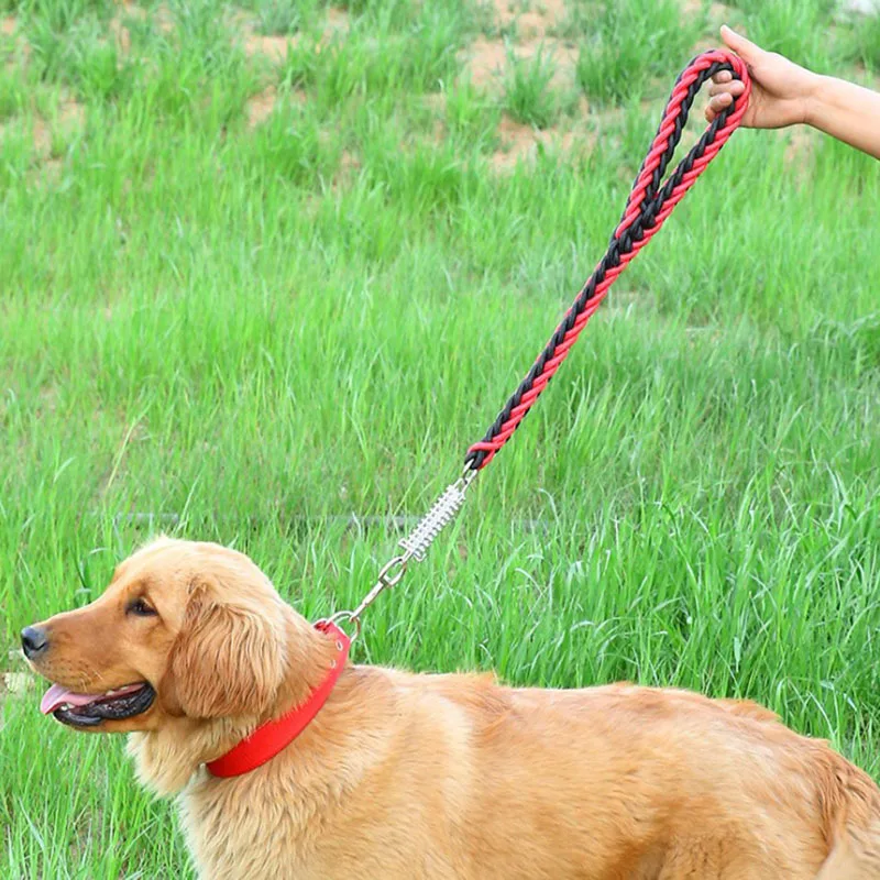 New 50cm Length Nylon Dog Leash Super Strong Dog Collar Lead For Medium Large Dogs with Spring Anti Pull Leash