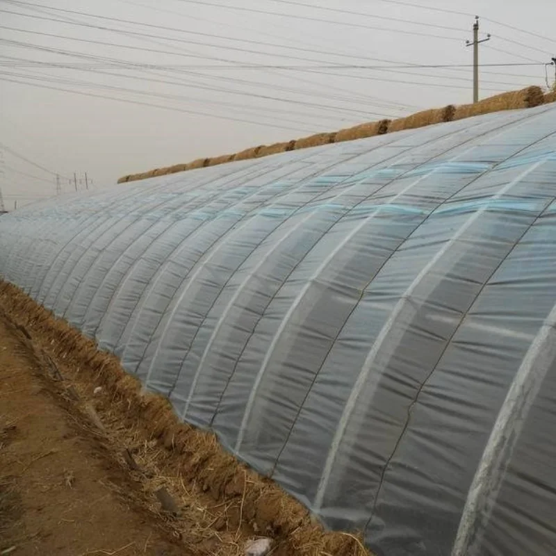 8M*30M-Green House Plastic Tube Steel Frame Greenhouse Structure