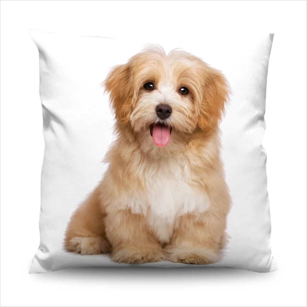 45x45 65x65 80x80 Sofa Decorative Pillows Case Cushion Covers Pillowcase Cushions for Sofa Pillowcover Home Decor Animal dog cat