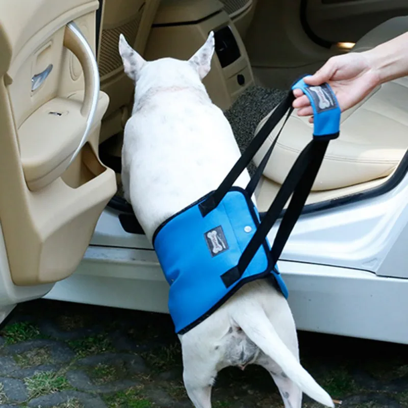 Pet Safety Care Assistive Belt For Elderly Disabled And Injured Dogs Buttocks Support Harness Walking Bracket S M L XL