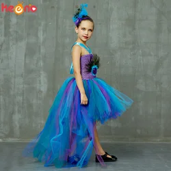 Fancy Peacock Feather Girl Pageant Tutu Dress With Headband Children Kids Birthday Party Wedding Ball Gowns Trailing Tulle Dress