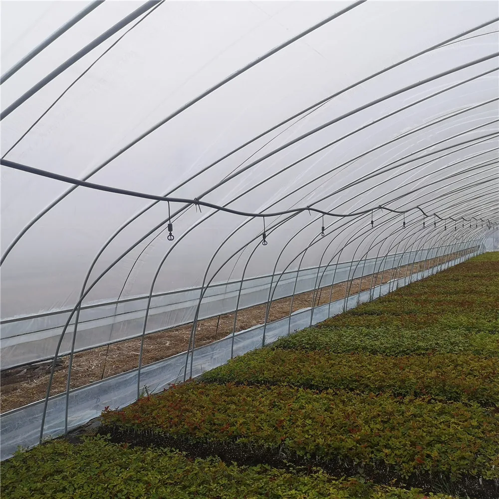 Agriculture Equipment Plastic shed Single-span Greenhouses Polytunnel