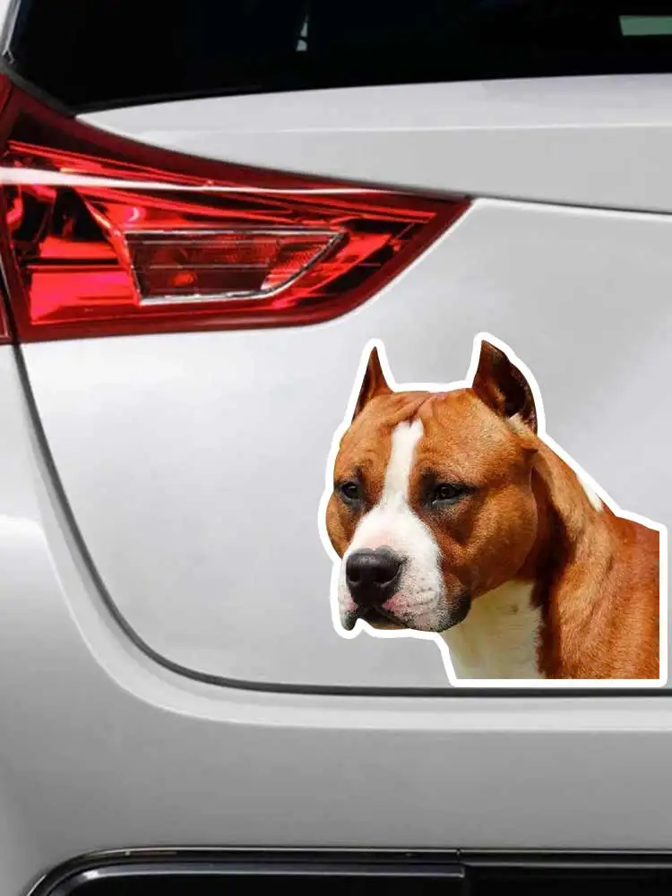 B0643# Width 17cm Decal American Staffordshire Terrier Car Sticker Waterproof Auto Decors on Bumper Rear Window Laptop Helmet