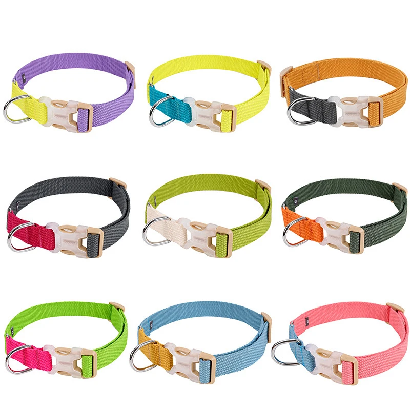 

Multicolor Dog Collar Personalized Adjustable Pure Color Pet Collars Cat Collar Durable Transparent Plastic Buckle Dogs Necklace