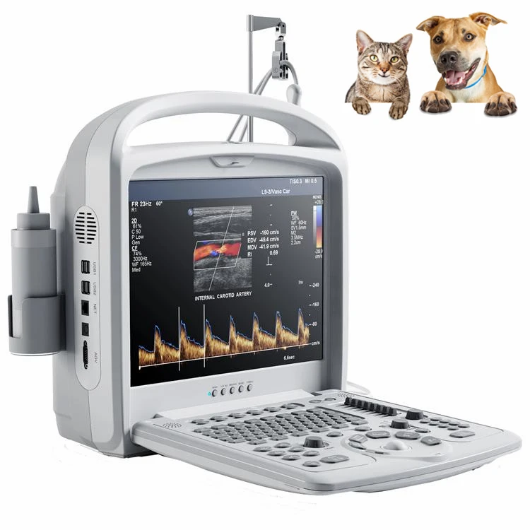 Animal 15inches color laptop V30 USG PC based doppler