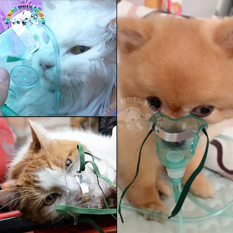 Disposable Oxygen Mask Plastic Face Mask for Adult Children Dog Cat Oxygen Mask with Tube