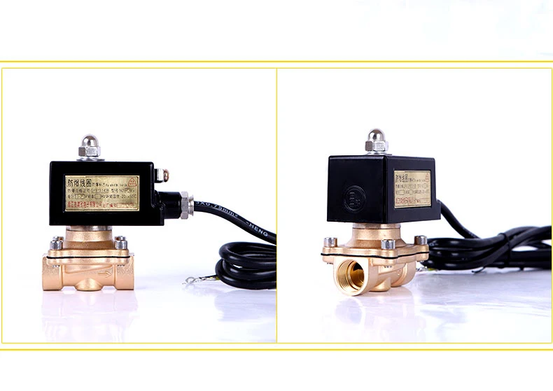 2" explosionsgeschütztes Magnetventil aus Messing, normalerweise geschlossen, Erdgasventil, Magnetsteuerventil, 220 V, 110 V, 24 V, 12 V – Detail 5