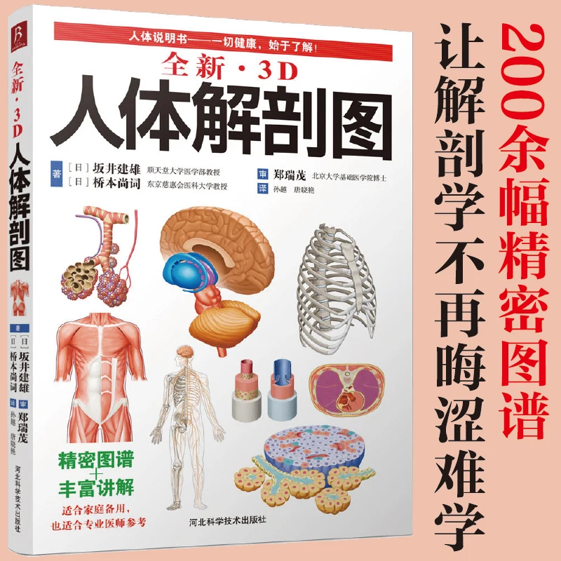 

3D Human Anatomy Diagram Human muscle sports anatomy Medical book