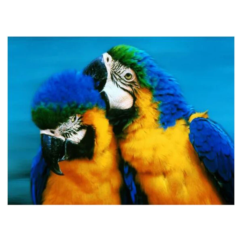 Full Square Diy Two Blue Yellow Parrots Photo Diamond Painting Embroidery Rhinestones Kits Home Decorative Design  FH624