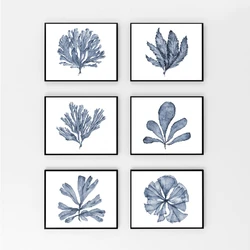 Blue Coral Sea Fan Posters and Prints Modern Watercolor Hamptons Style Art Canvas Painting Coastal Pictures Home Wall Art Decor
