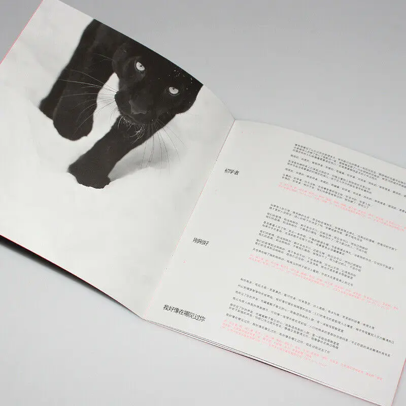 Música chinesa xue zhiqian 2016 álbum cd