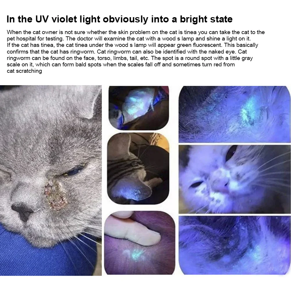 365 UV-Veterinär-Holzlampe, Haustierpilz-Erkennung, wasserdichte Taschenlampe, Haut, ultraviolettes Licht, Katzenmoos, Tinea-Licht, schwarzer Spiegel – Detail 9