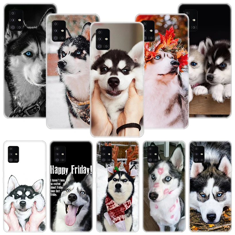 husky для дерева siberian