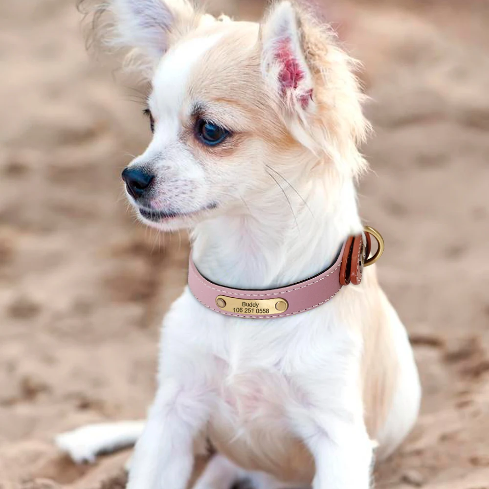 Collar con grabado personalizado para perro, placa de identificación de cachorro, acolchado de cuero, reflectante, para perros pequeños, medianos y