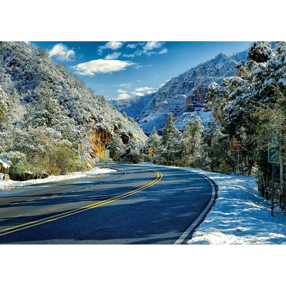 Snow Mountain Trees Highway Photographic Backdrop Vinyl Cloth Backgrounds for Baby Children Portrait Photoshoot Photo Studio