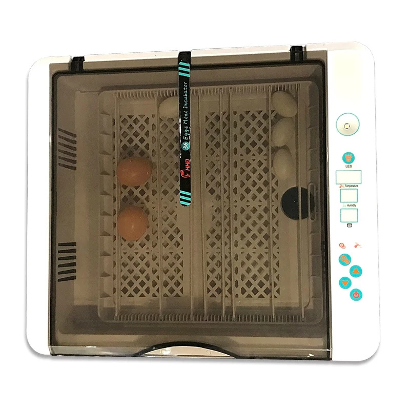 36 chicken incubator EW-36 chicken, duck and bird incubator, breeding incubator equipment, egg incubator