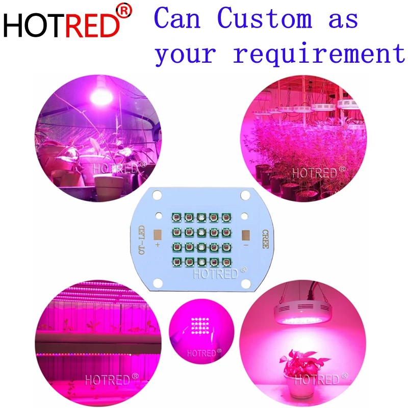 

30W 50W60W Plant Grow LED light Original XPE Chips Diode Lamp 660nm red 450NM Royal Blue for indoor garden Fruit Growing Seeding