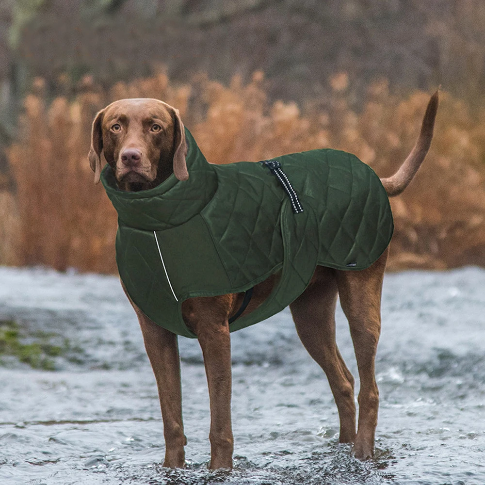 

Ветрозащитные куртки для собак, зимние куртки для холодной погоды с ремнем, легкая прогулка, мягкая теплая одежда, одежда для средних и больших собак