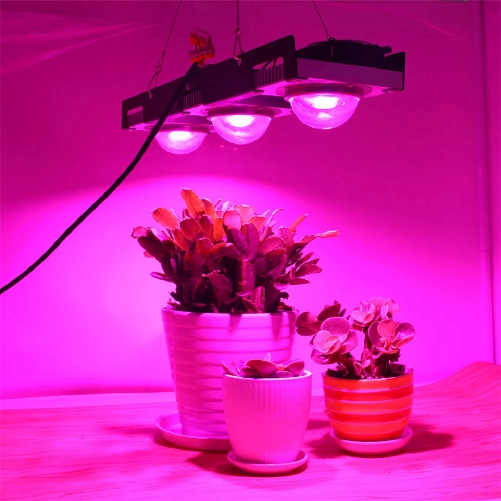 

COB LED Grow Light Full Spectrum 100W 200W 300W 400W Plant Grow Lamp For Indoor Plants Flowers Greenhouses Hydroponics Grow Tent