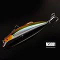 NS001