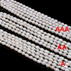 Natural Freshwater Pearl Beads High Quality Rice Shape Punch Loose Beads for Jewelry Making DIY Necklace Bracelet Accessories