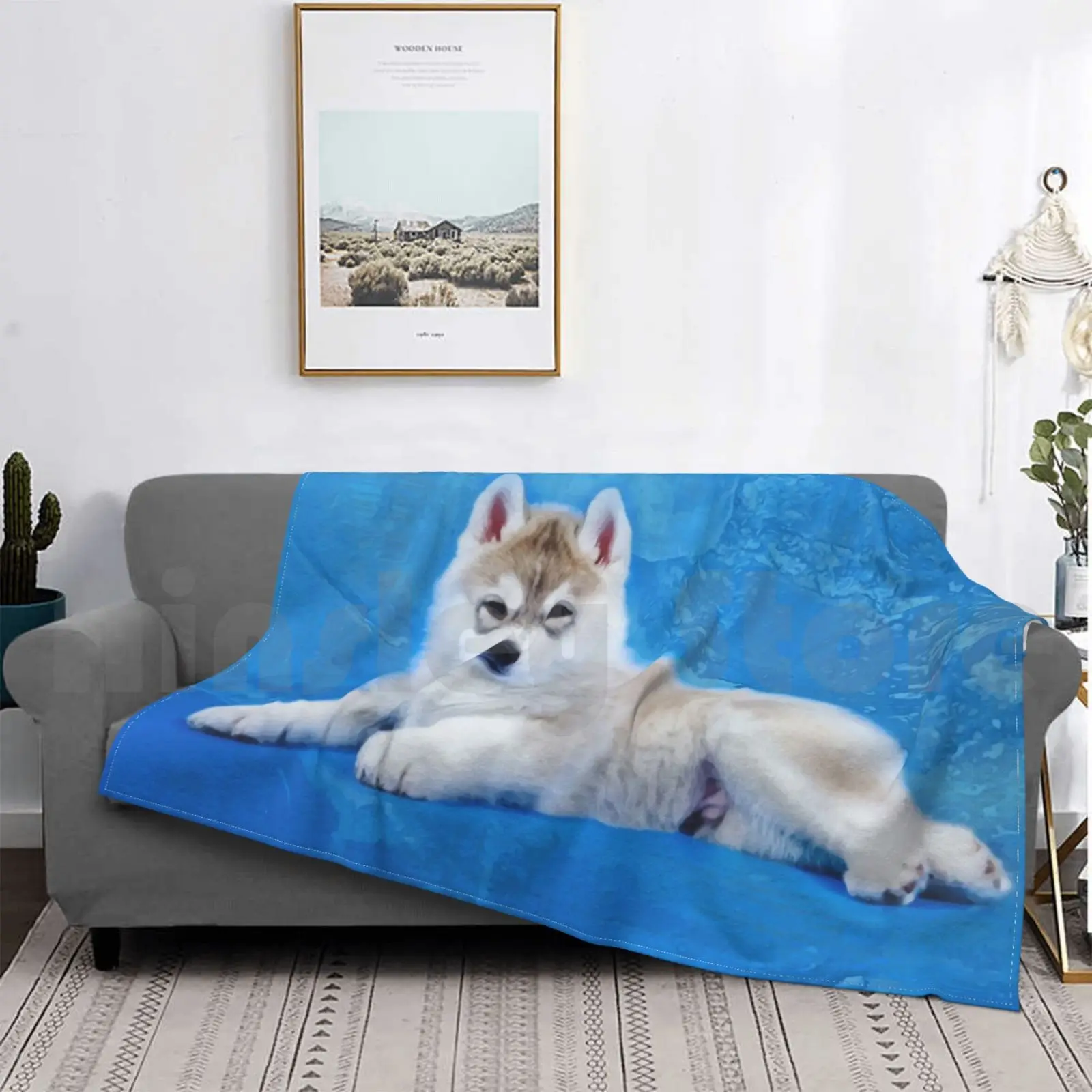 سيبيريا أجش جرو بطانية موضة مخصصة 1114 أجش جرو لطيف جرو سيبيريا أجش هاسكي مزلقة الكلب #3