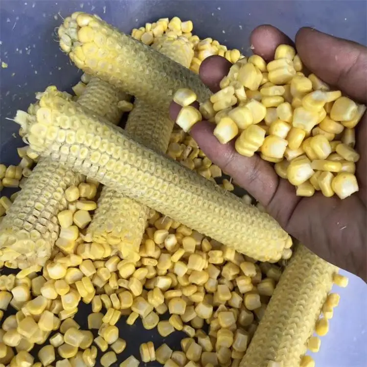 500-600 كجم/ساعة ذرة حلوة ماكينة الداِرَاس الحبوب ماكينة حصاد