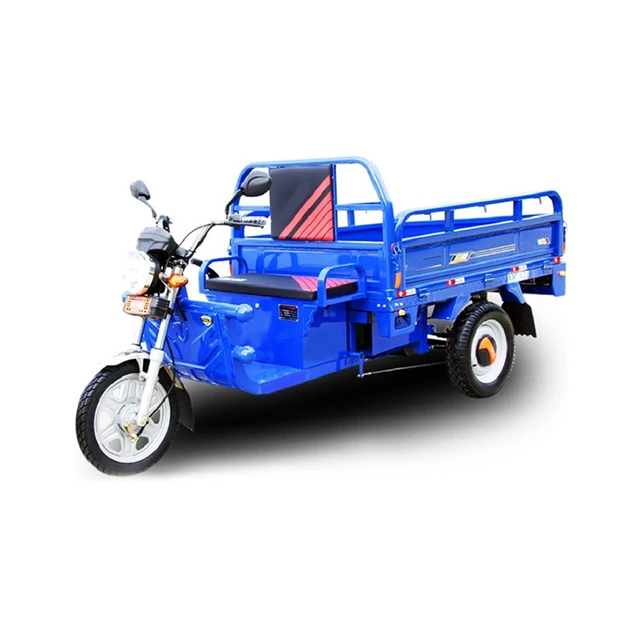 Cargo tricycle india clearance